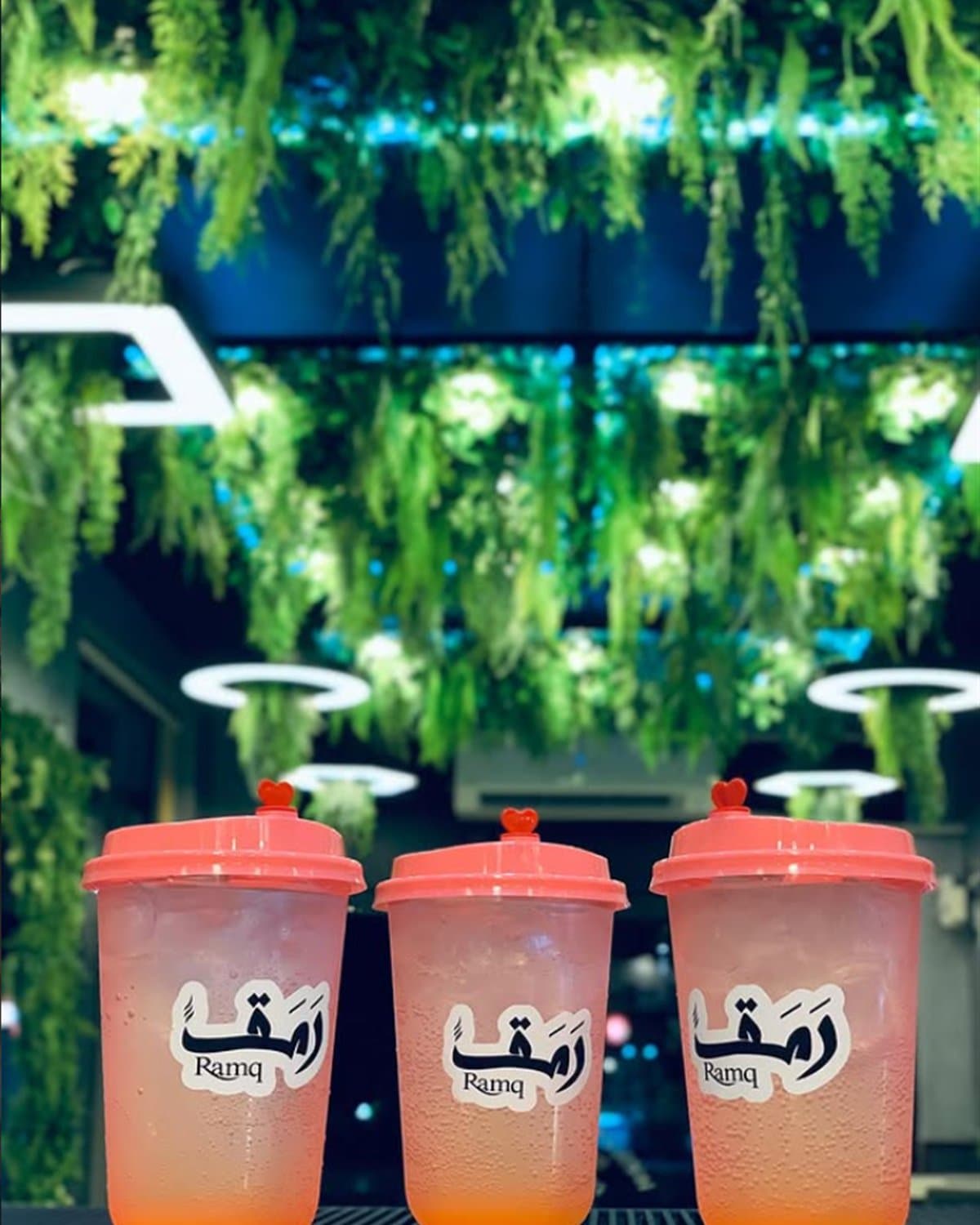 مشروبات رمق بغطاء وردي تحت نباتات مضاءة